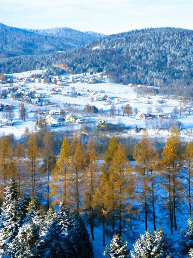 Osrodek Uzdrowiskowy Beskid Wysowa-Zdrój Exterior foto